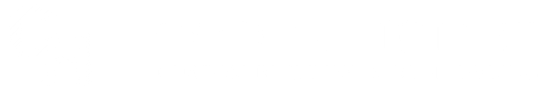 Codex Homes — Custom Building & Remodeling